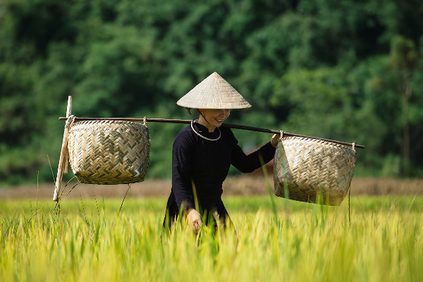 Incredible Bac Son Tour - 2 Days - photo 3